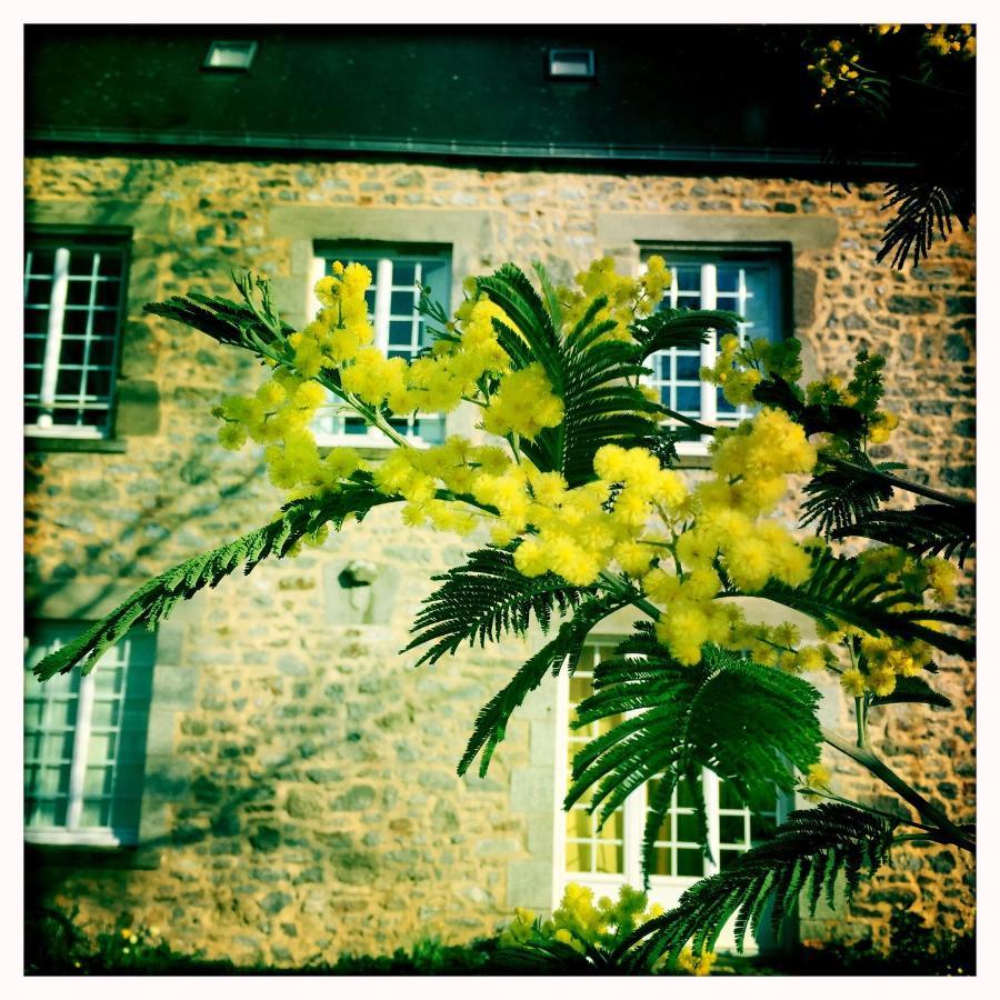 Soulgé-sur-ouette Manoir De La Grand'Cour B&B 외부 사진